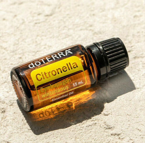 Doterra Citronella