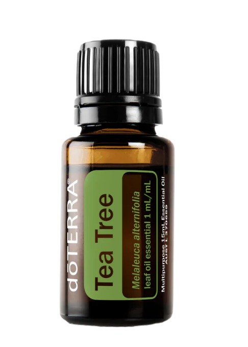 Doterra Tea Tree