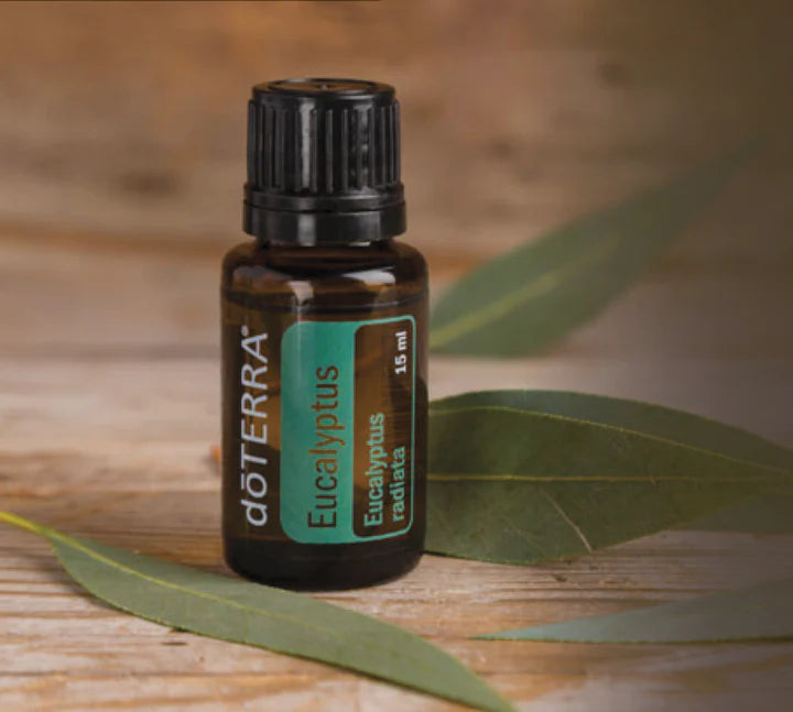 Doterra Eucalyptus