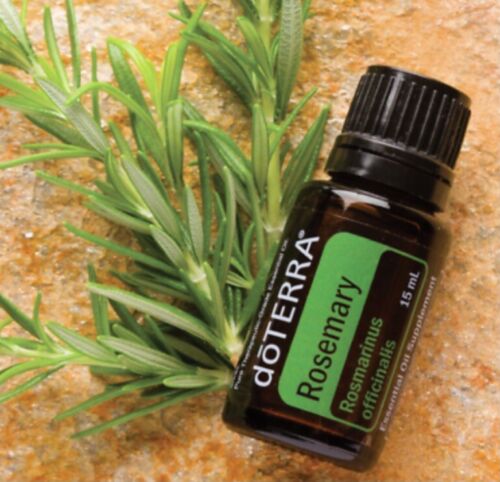 Doterra - Rosemary